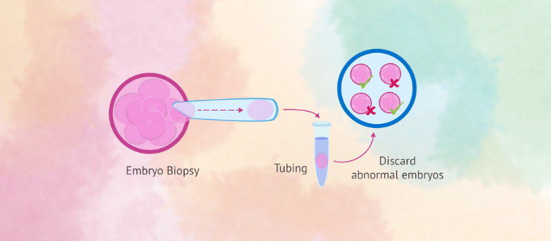 Embryo-Biopsy And Pre-Implantation Genetic Testing