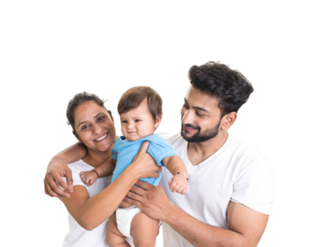 About Fertilica