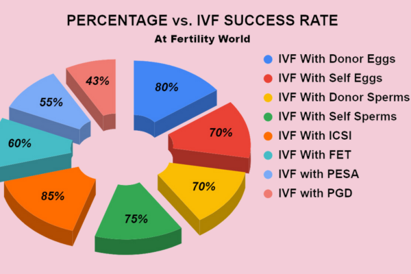 Our Experience And Success Rates