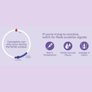 Ovulation Tracking to Boost Conception Chances