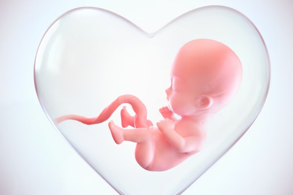 Embryo donation