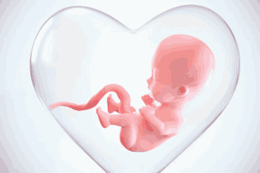 Embryo donation