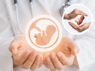 Embryo donation