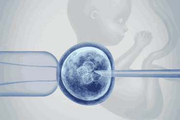 Embryo Testing
