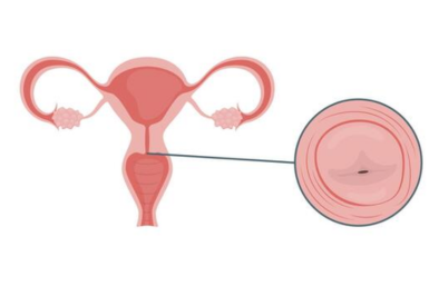 IVF vs Natural Pregnancy: Pros, Cons, Success Rates & Expert Guide