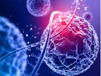 Non-Invasive Pre-Implantation Genetic Testing