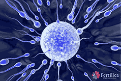 Sperm Banking