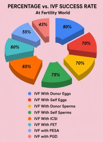 Our Experience And Success Rates